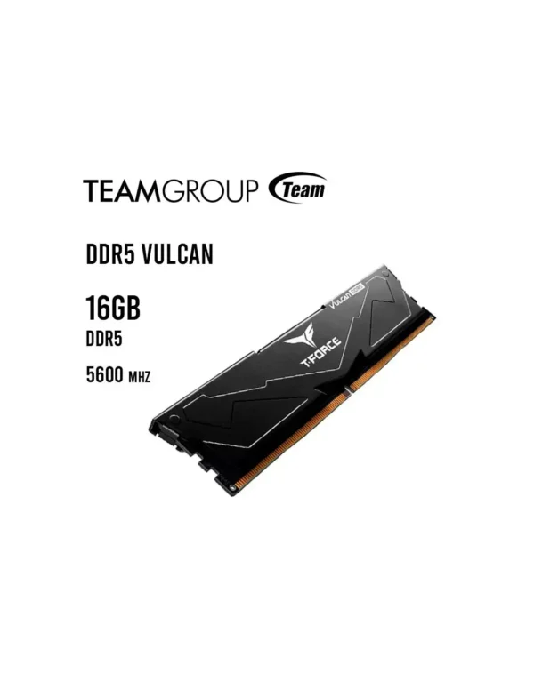 FLBD516G5600HC36B01-01